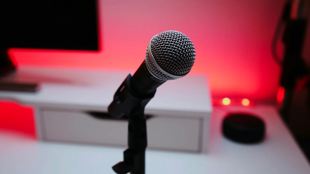 black and gray microphone
