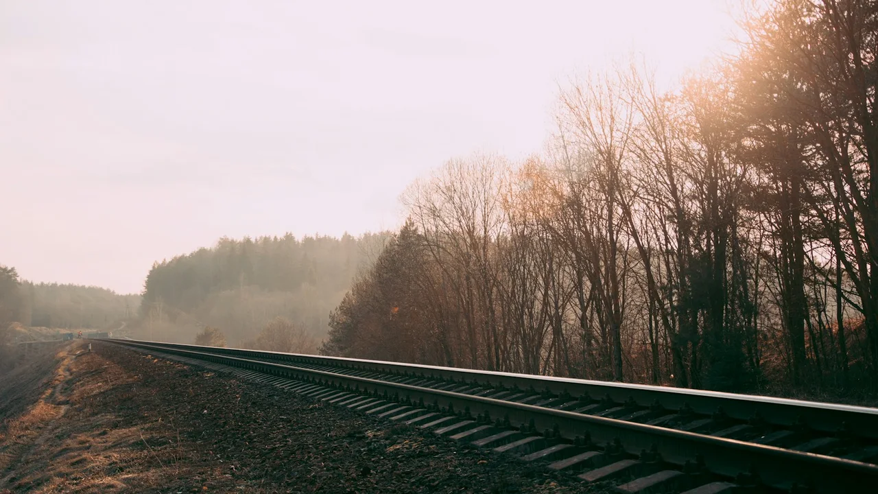 landscape photography of train rail surrounded with trees