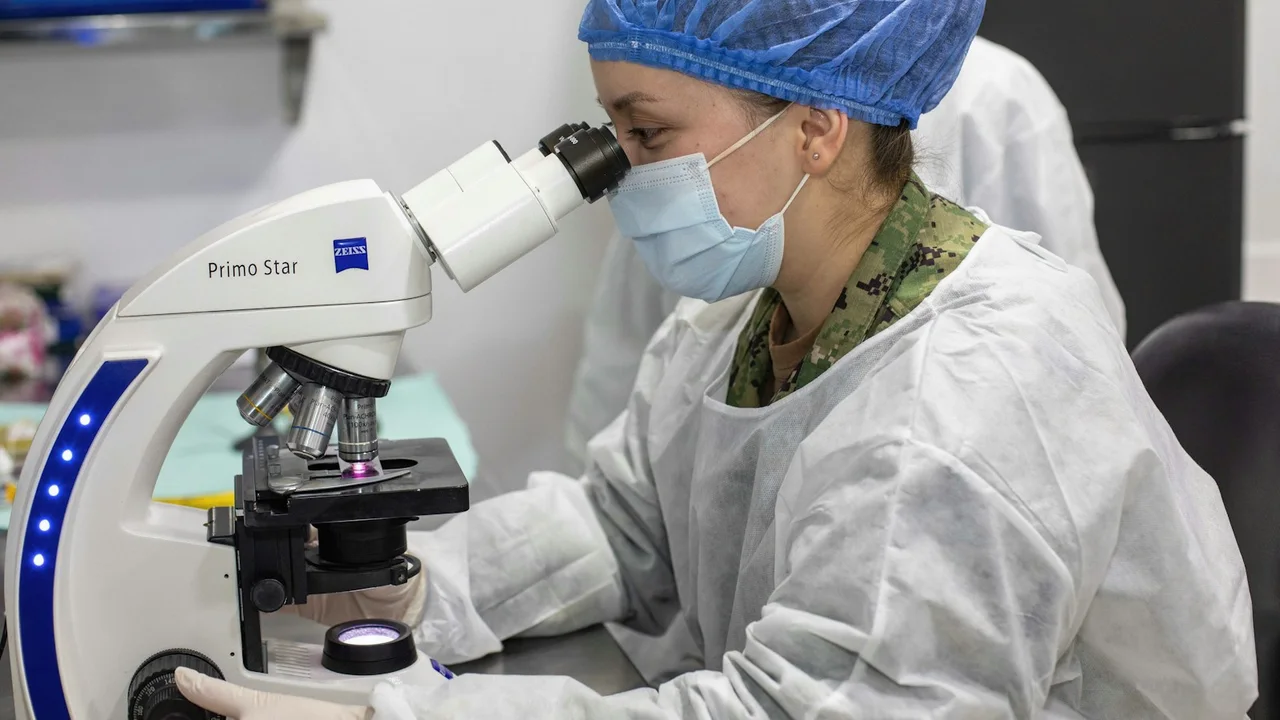 Scientist looks through a microscope in a laboratory.