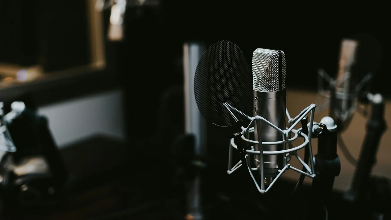macro photography of silver and black studio microphone condenser