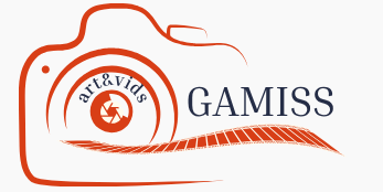 Gamiss Logo