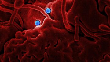 WHO Declares New Respiratory Virus a Public Health Emergency