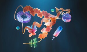 The Hidden World of the Human Microbiome