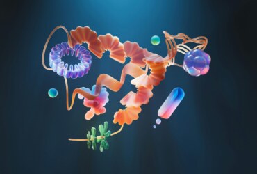 The Hidden World of the Human Microbiome