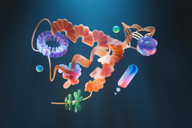 The Hidden World of the Human Microbiome