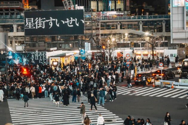 Japan’s Economy Navigates Crossroads as Wages Rise and Population Crisis Deepens