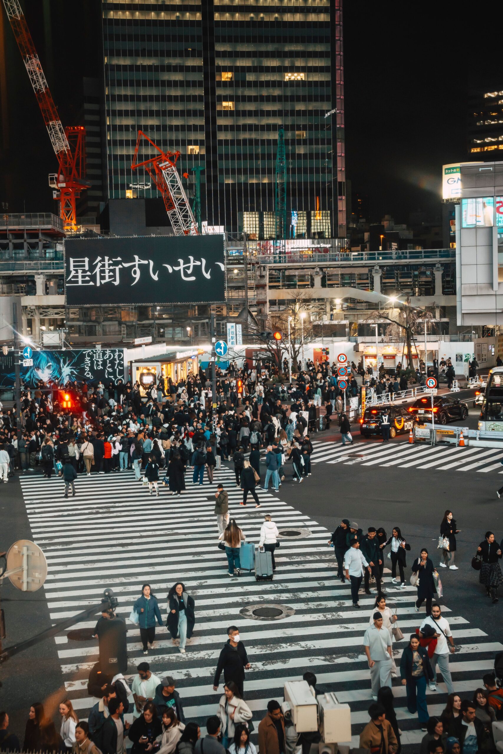 Japan Population